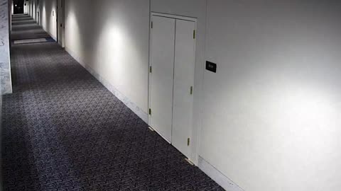 1463HSOB02SH214Entrance_2021-01-06_03h00min00s333ms.mp4