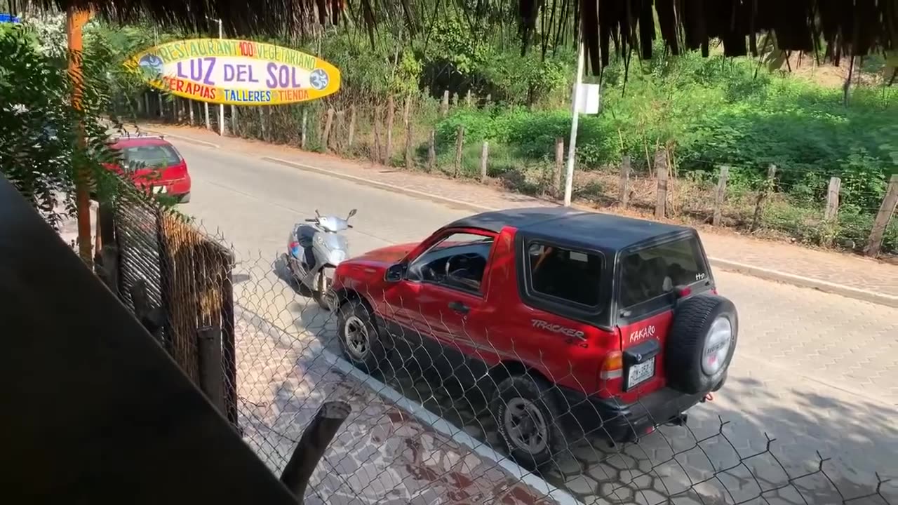 🔴 The best live stream ever!.mp4