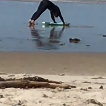 Wetsuit guy does pushups on beach next to board
