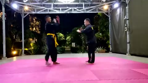 Hapkido