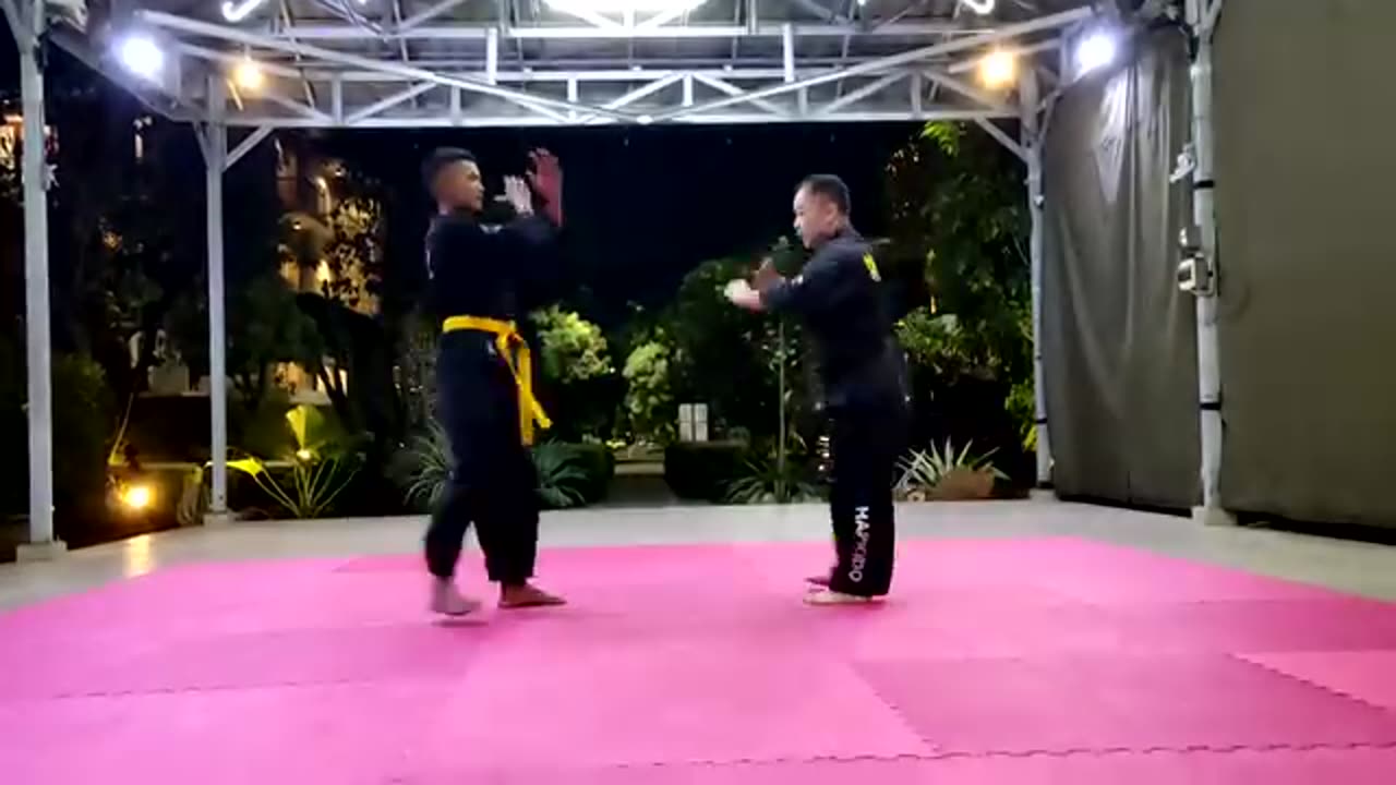 Hapkido