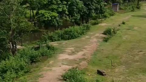 Beautiful Nature Of Nepal