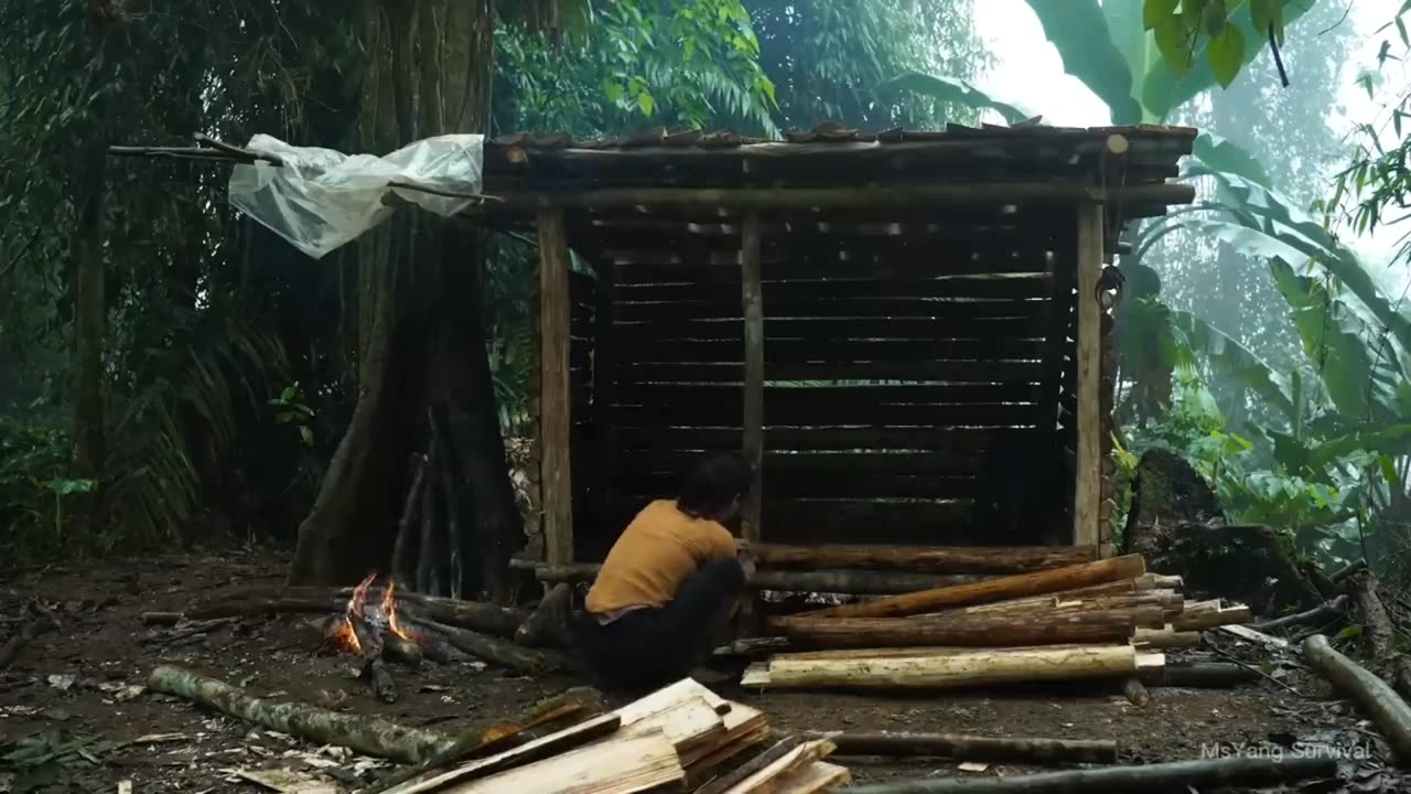 Despite the rain, building wood survival shelter in wildland. Bushcraft camp