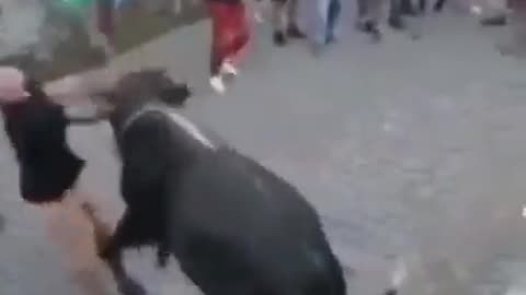 Playing With Bulls