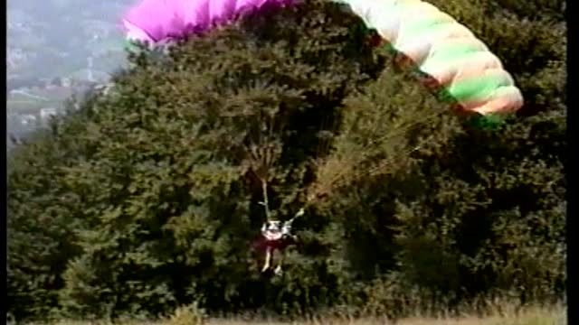 Colorful Paraglider Crashes Directly Into Huge Trees