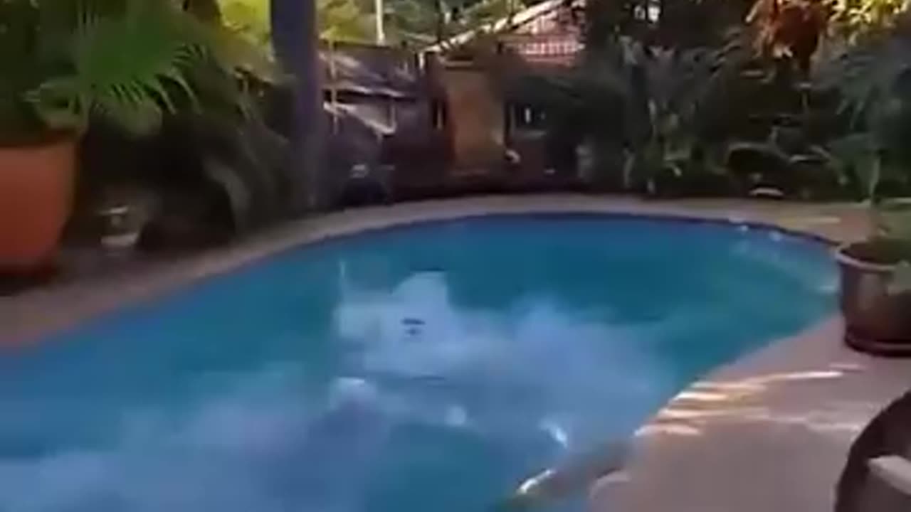 Hilarious fails