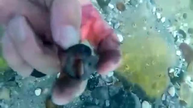 Clean up the underwater garbage and protect the marine natural environment.#2