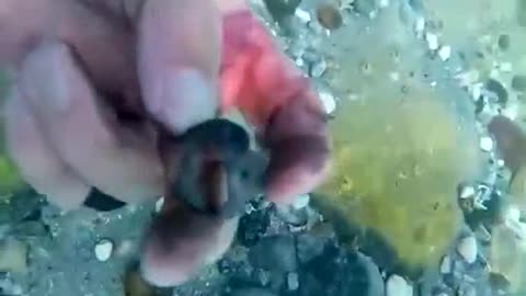 Clean up the underwater garbage and protect the marine natural environment.#2