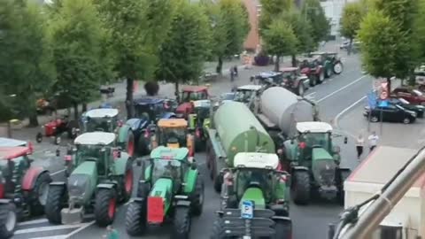 Belgian Farmers REVOLT Against the Government and BLOCK Hoogstraten