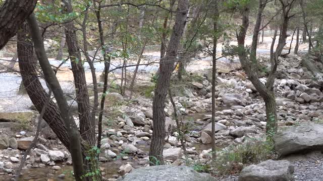 Various views of the valley