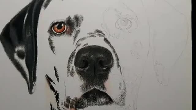 🪄 Desenho Realista