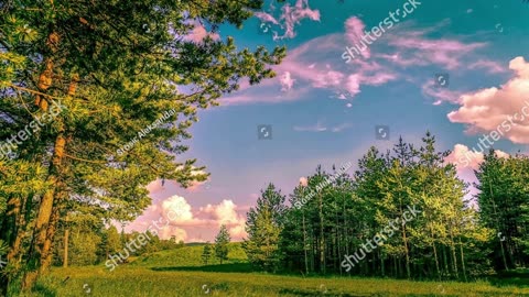 Shutterstock - Images from Zlatibor