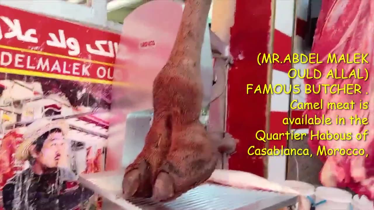 Camel Meat in the Habous Quarter)ABDELMALEK OULD ALLAL ( Morocco Casablanca Pt 10