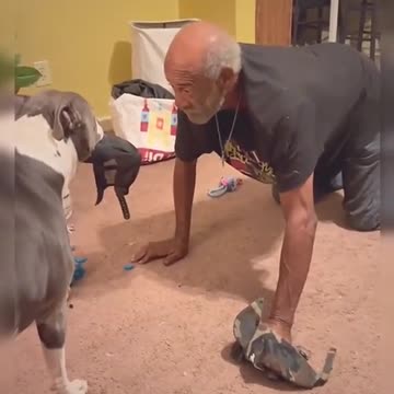 Dog and grandfa fight for the cap