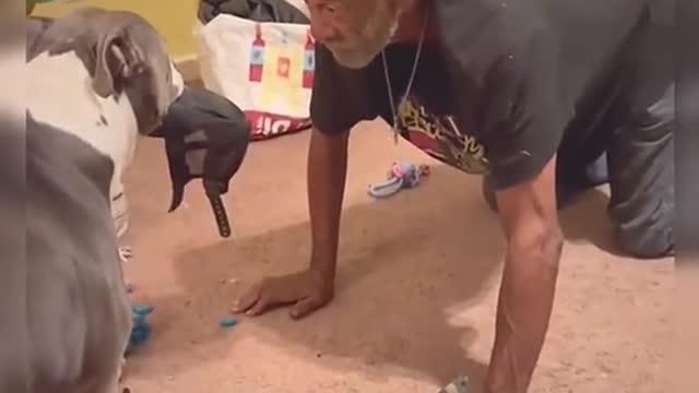 Dog and grandfa fight for the cap