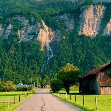 funny, cats, funny animals, funny cats, funny moments, animal video,