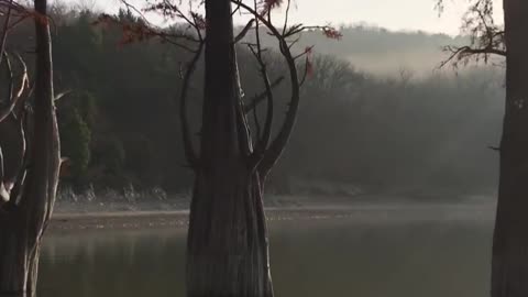 Nature full of peace and love