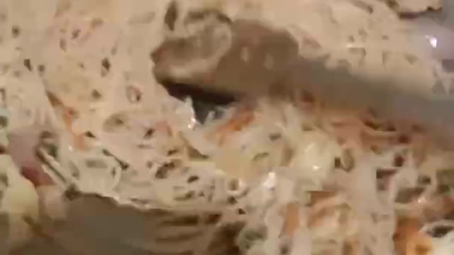 #chickenchowmein#yummay food#shorts