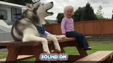 dog couldn't resist😂