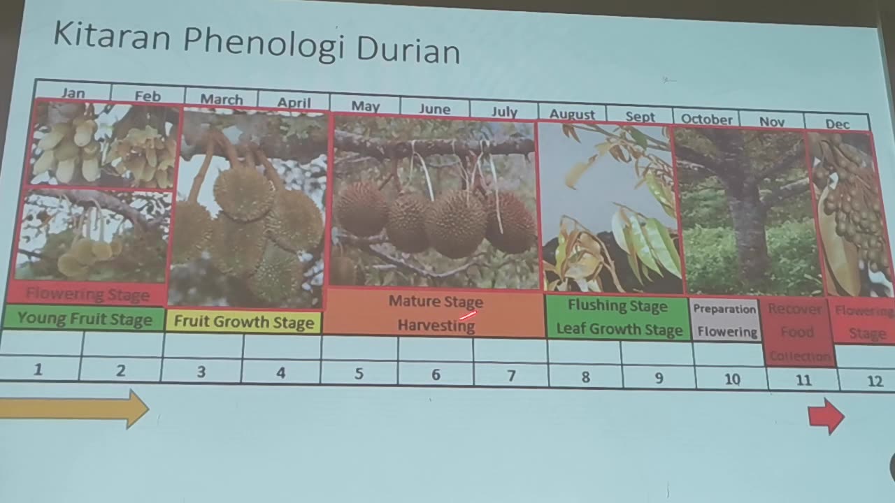 5.1 Sistem Fertigasi Ladang (Farm Fertigation System) @ Pertanian Kalumpang, 23 Okt 2024