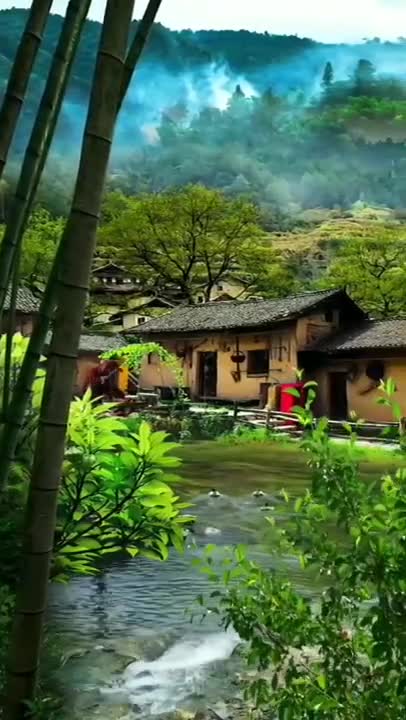 Beautiful natural video