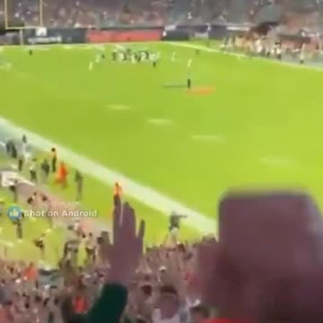 The cat has 9 lives. He falls from the roof of the stadium