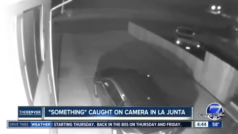 Real alien caught in cctv cemra