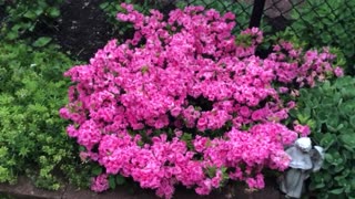 Spring colors