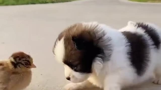 Let's play!