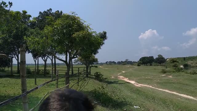 Natural Beauty of Bangladesh_Bijoypur