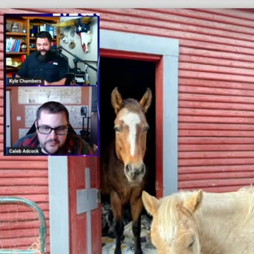 🐴 We're horsing around this week! from #QualityMatters Ep 173