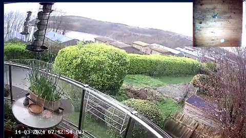 Saint Mary's cove Brixham UK, and bird Box & feeder.