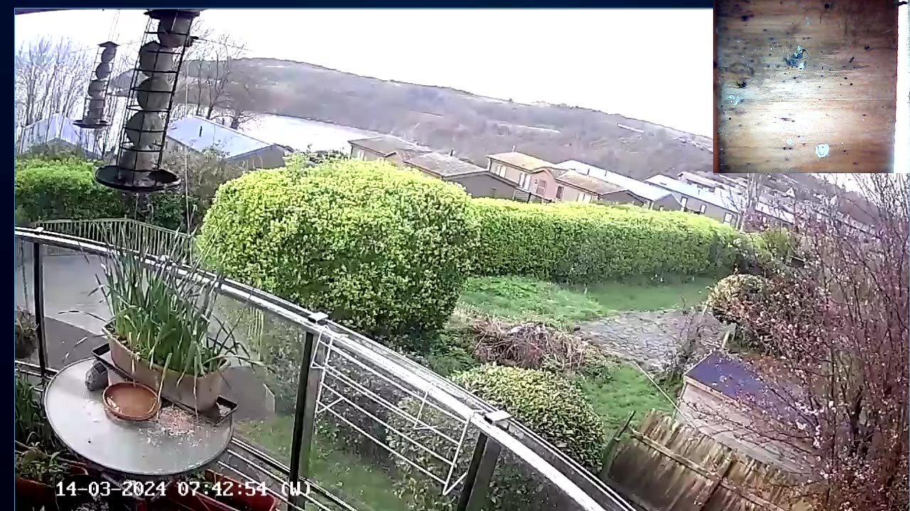 Saint Mary's cove Brixham UK, and bird Box & feeder.