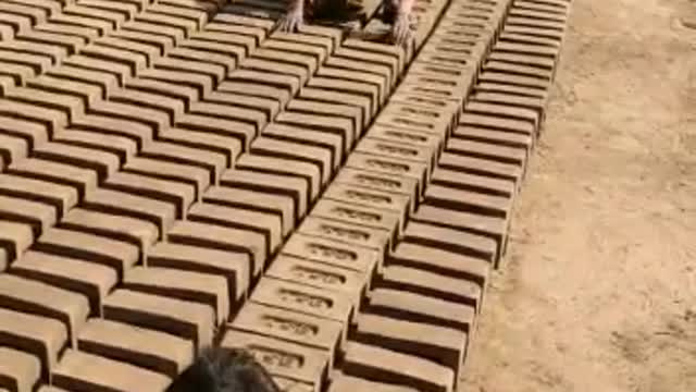 Little boys helping their Father at work - Responsibility at young age