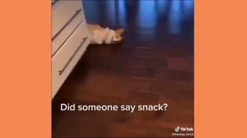 Is it snack time already? 😂