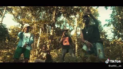 song shorts video