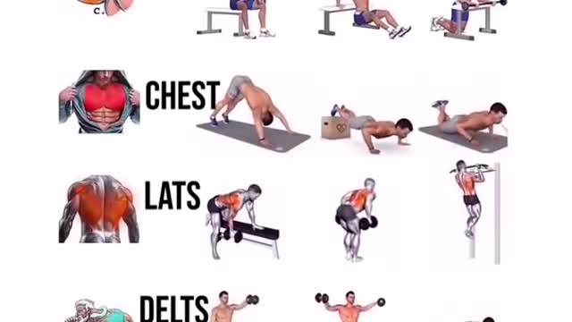 full----️---- body --------️workout--