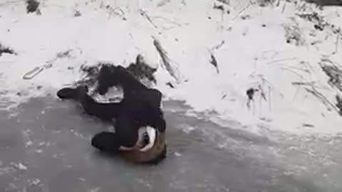 Black hat and jacket tries to slide on ice and falls on head