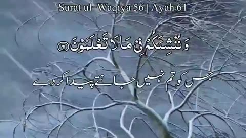 Ayat from Surah alwaqiyah
