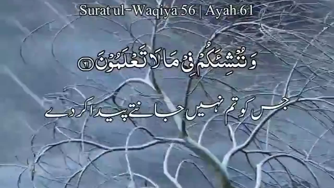 Ayat from Surah alwaqiyah