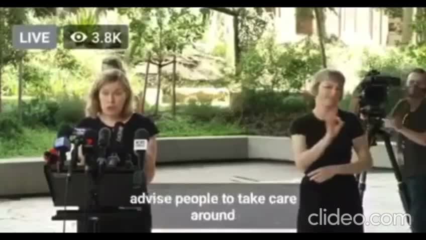 NSW 🇳🇿 The Narrative is Crumbling 🔥 CHO Kerry Chant gets asked Why the WAXXED are still dying... Her response is plain stupid