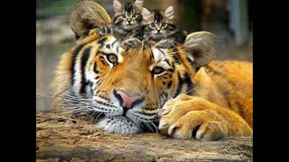 The best photos about nature