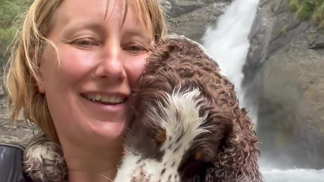 Cuddly Spaniel Is Perfect Selfie Partner