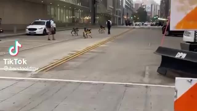 ROBOT DOGS SEEN IN WASHINGTON