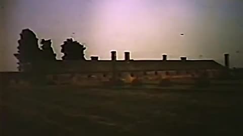 Ditlieb Felderer's Revisionist Slide Show 1982