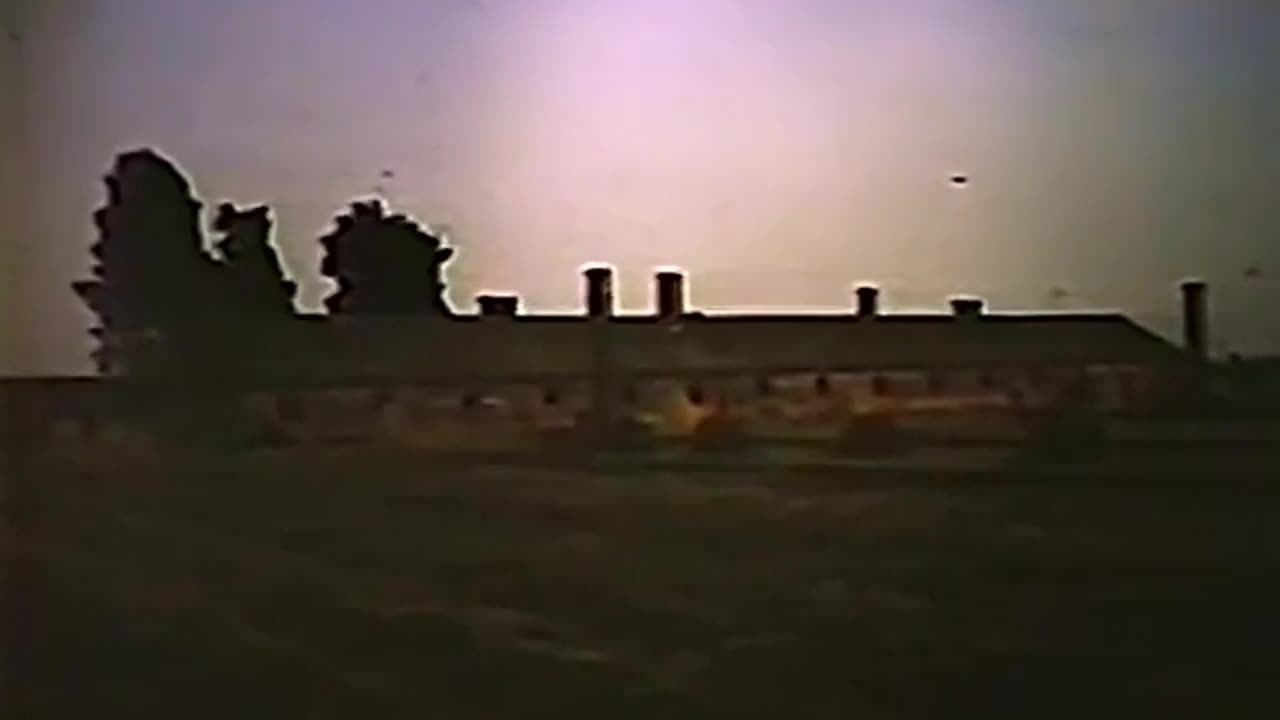 Ditlieb Felderer's Revisionist Slide Show 1982