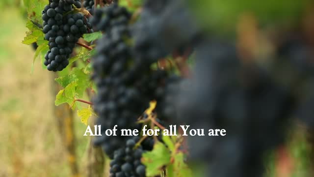 For All You Are