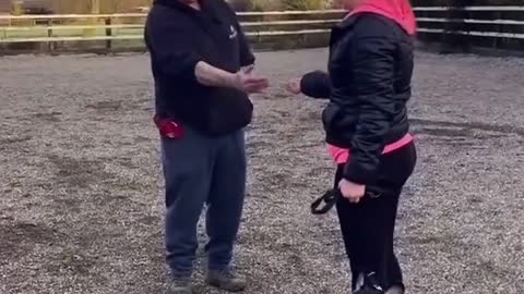 Every Time someone walks up to your dog do's this happen!!