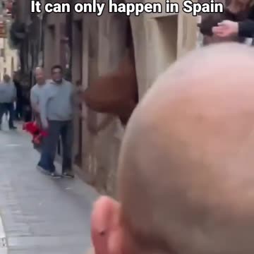 The bull broke into the house.