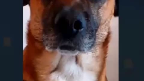 Israël. [DS] kan de oorlog in Israël niet winnen NL Subs